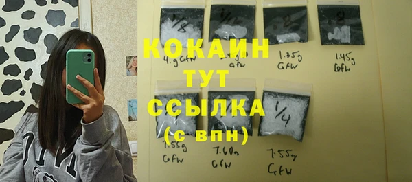 мдпв Козловка