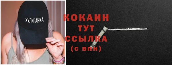 мдпв Козловка