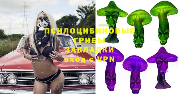 мдпв Козловка